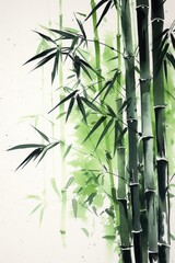 Poster - Watercolor painting of bamboo