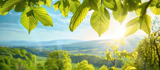 Wall Mural - Scenic view of vibrant green leaves on a sunny day with a stunning landscape in the background, ideal for a copy space image.