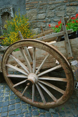 San Pellegrino in fiore - Ruota del carro -Viterbo