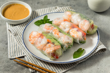 Poster - Homemade Vietnamese Shrimp Spring Rolls