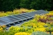 © Alexandr - Solar panels on green roof with sedum plants, eco-friendly energ