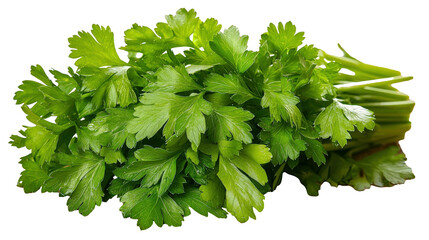 Wall Mural - Fresh parsley bunch artfully arranged in kitchen setting