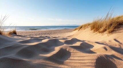 Sand dunes with sparse vegetation overlooking a serene beach and calm ocean waves