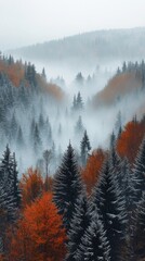 Poster - Thick mist envelops a peaceful valley as autumn trees blend with evergreens, creating a harmonious display of color and tranquility