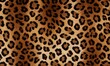 © idris - Leopard print pattern , close-up view of the distinctive spotted fur texture of a leopard