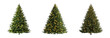 © humble - Christmas trees with lights in different positions isolated on transparent background