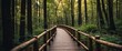 © Den Boro Day - a wooden walkway in the middle of a forest.