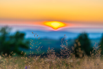 Color sunset on blossoming meadow in center of hot summer