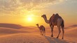 © BerkahStock - Camels Silhouette at Sunset in the Desert