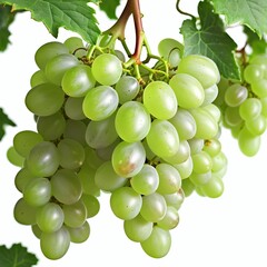 Wall Mural - ** Isolated Fresh Grapes on white Background **