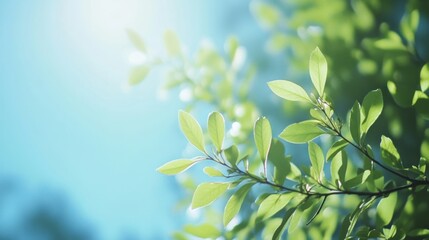 Poster - Serene green and blue sky with gentle light blur