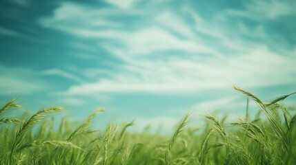 Poster - Soft focus green and blue sky with wispy clouds