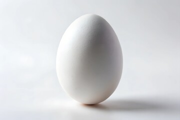 One egg isolated on a white background
