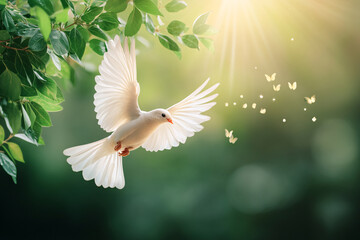 A white dove is flying in the air with a butterfly in its wings. Concept of freedom and peace, as the bird and butterfly seem to be enjoying their flight together