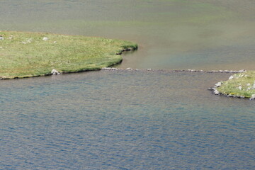 the river in the summer