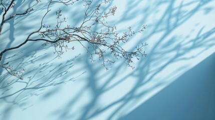 Poster - Elegant branches create a mesmerizing dance of shadows on a calm blue backdrop, highlighting the beauty of light and nature intertwined