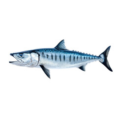 Sleek barracuda fish with menacing teeth and streamlined body isolated on transparent background 