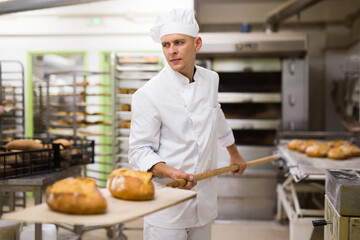 Wall Mural - Baker takes out hot bread from the oven