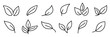 © Graphic Studio15 - Set of Leaves of trees icons collection. green trees leaf Elements. vector Illustration.
