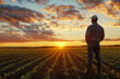 © barmaleeva - Senior farmer is standing in his cultivated agricultural field at sunset