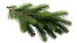 © hamad - Spruce branch, Realistic Christmas tree, isolated on transparent background.