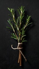 Wall Mural - Fresh Rosemary Sprigs on Dark Background