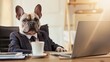 © stockdevil - French bulldog dressed in a business suit and necktie, sittingt at office desk with a laptop and cup of coffee