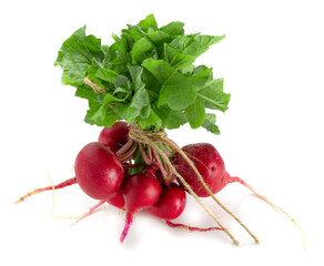 Wall Mural - Freshly ripe radishes isolated on white background.