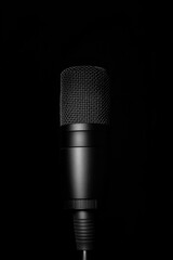 Canvas Print - Microphone close up