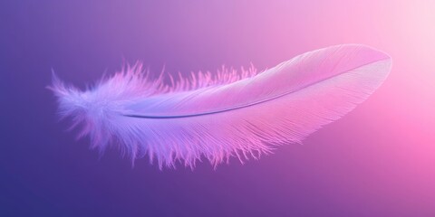 Poster - Pink Feather Floating