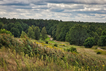 Landschaft Hügel