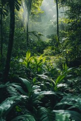 Poster - Forest With Lush Vegetation