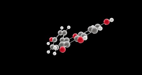 Wall Mural - Apigenin molecule, rotating 3D model of flavone class, looped video on a black background