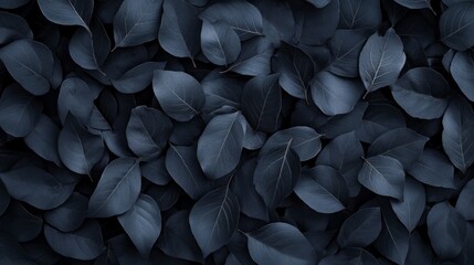 Wall Mural - Abstract black leaf pattern on a dark background