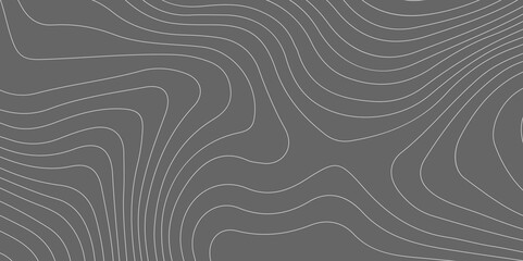 background of the wavy topographic map background. topography relief and topographic map wave line c