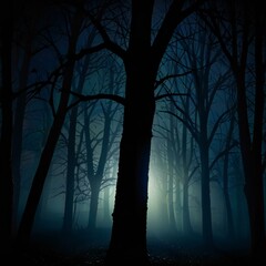 Canvas Print - night in the forest