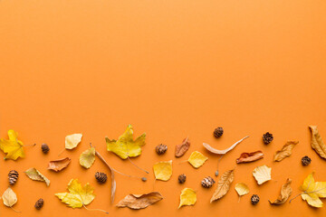 Wall Mural - autumn composition. pattern made of dried leaves and other design accessories on table. flat lay, to