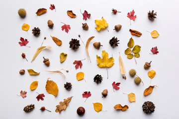 Wall Mural - autumn composition. pattern made of dried leaves and other design accessories on table. flat lay, to