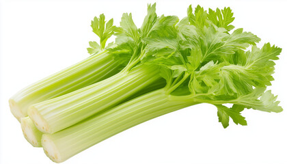 Fresh Celery isolated on white background