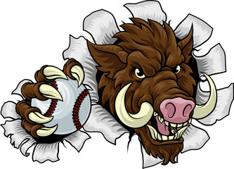 Wall Mural - A wild boar, hog razorback warthog pig mean tough cartoon sports mascot holding a baseball ball