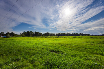 a lush, green meadow stretches under a bright blue sky, enhanced by fluffy clouds, while sunlight ba