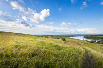 Wall Mural - A vibrant green meadow stretches towards the horizon, where a gentle river winds under fluffy clouds reflecting midday sunlight.