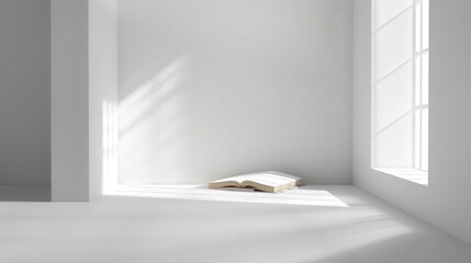 Poster - White backgrounds in book covers convey simplicity and elegance.