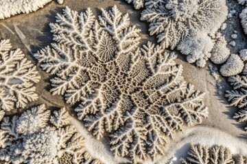 Sticker - Frosty patterns form intricate designs on a cold surface.