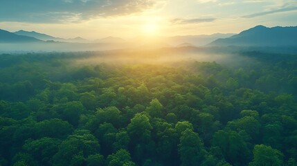Aufkleber - Aerial top view forest tree Rainforest ecosystem and healthy environment concept background Texture of green tree forest view from above Beautiful sunrise over the mountains of western : Generative AI