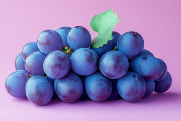 Aufkleber - A bunch of freshly harvested grapes, isolated on a pastel lavender background, representing the beginning of winemaking,