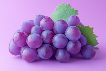 Aufkleber - A bunch of freshly harvested grapes, isolated on a pastel lavender background, representing the beginning of winemaking,
