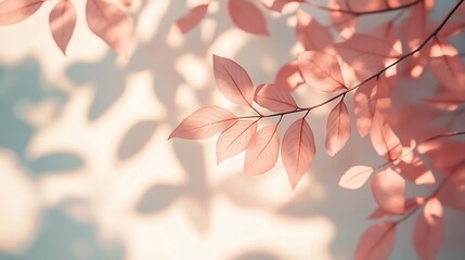 Aufkleber - Abstract leaves shadow blurred background Natural leaves tree branch foliage pink rose gold diagonally shadows and sunlight on white wall in nature for background wallpaper and any des : Generative AI