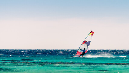 Poster - surfer rides in the Red Sea on the background of a clear sky in Egypt. Dahab