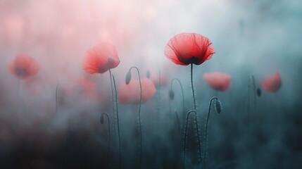 Canvas Print - An artistic blur effect capturing the delicate beauty of red poppies in soft focus creating a dreamlike ethereal atmosphere : Generative AI